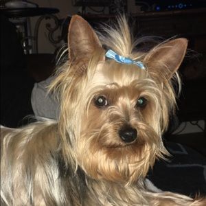 Meet your Posher, Angie